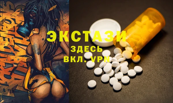 дживик Верхний Тагил