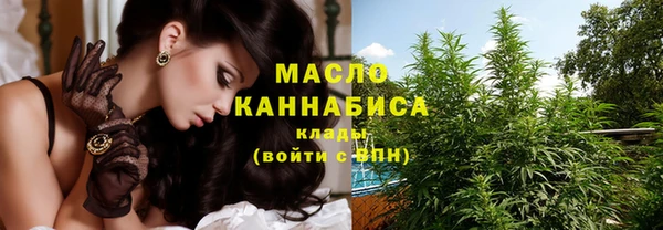 дживик Верхний Тагил