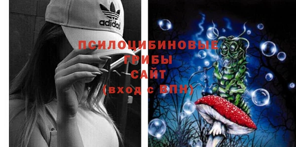 дмт Верея